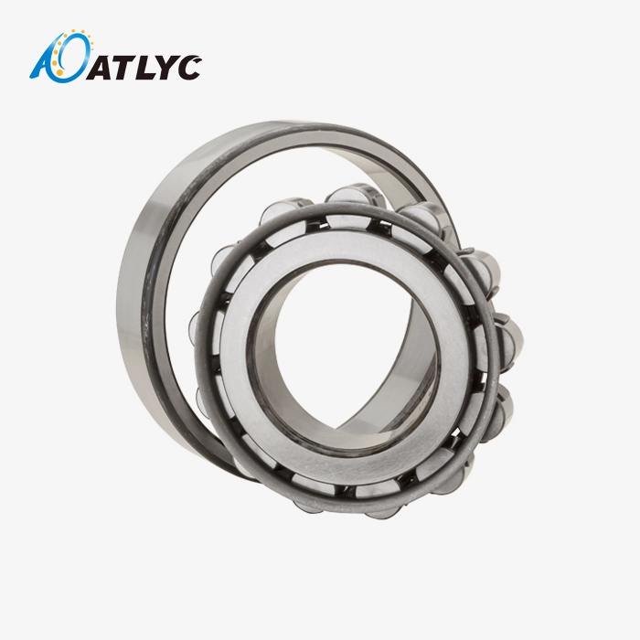 N311 Cylindrical Roller Bearing